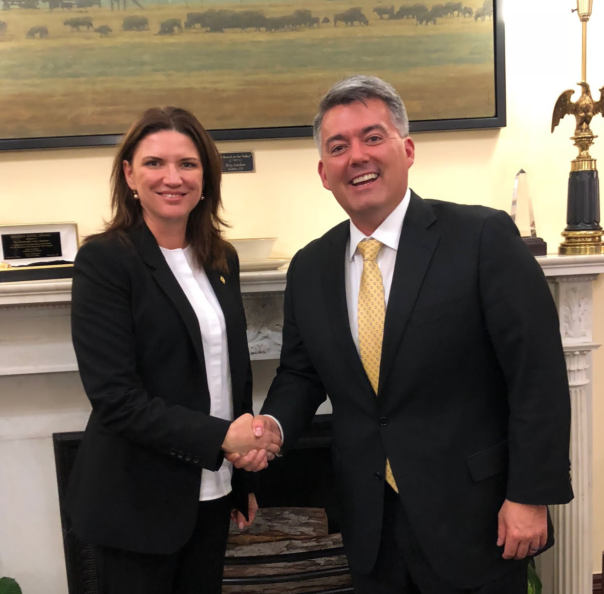 IMPORTANT: Ambasadorul Moldovei în SUA, Cristina Balan, s-a întâlnit cu senatorul republican Cory Gardner