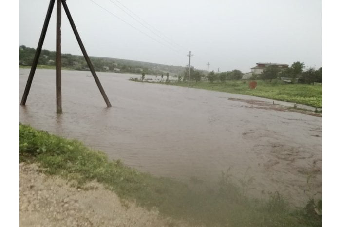 DEZASTRU: Sute de hectare de semănături au fost afectate în urma ploilor din weekend