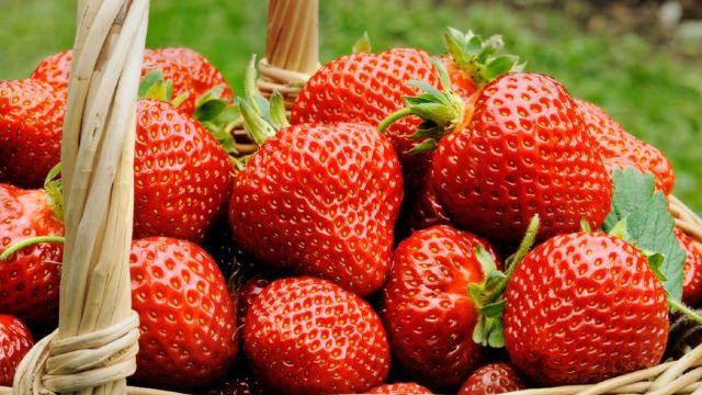FLASH! Reacția ANSA la informațiile privind conținutul de nitrați în căpșuni