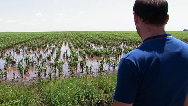 DEZASTRU: Peste 38 mii hectare de suprafețe agricole au fost afectate de calamități