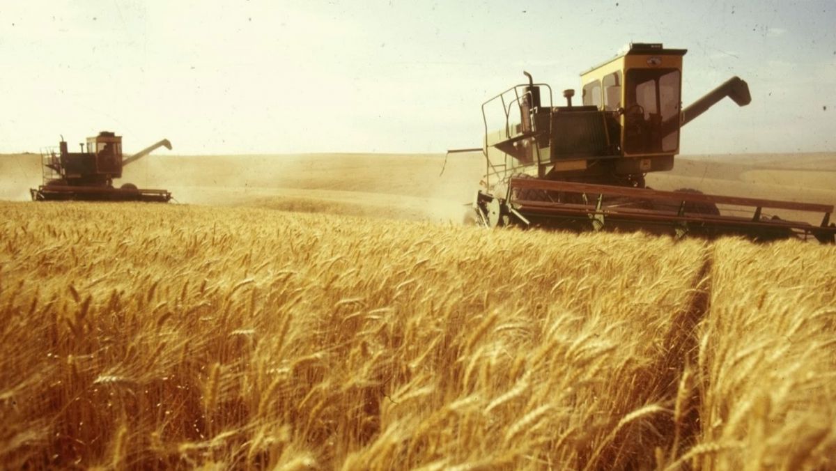 Suportul pentru fermieri va fi acordat în două etape: pentru motorină și pentru semințe
