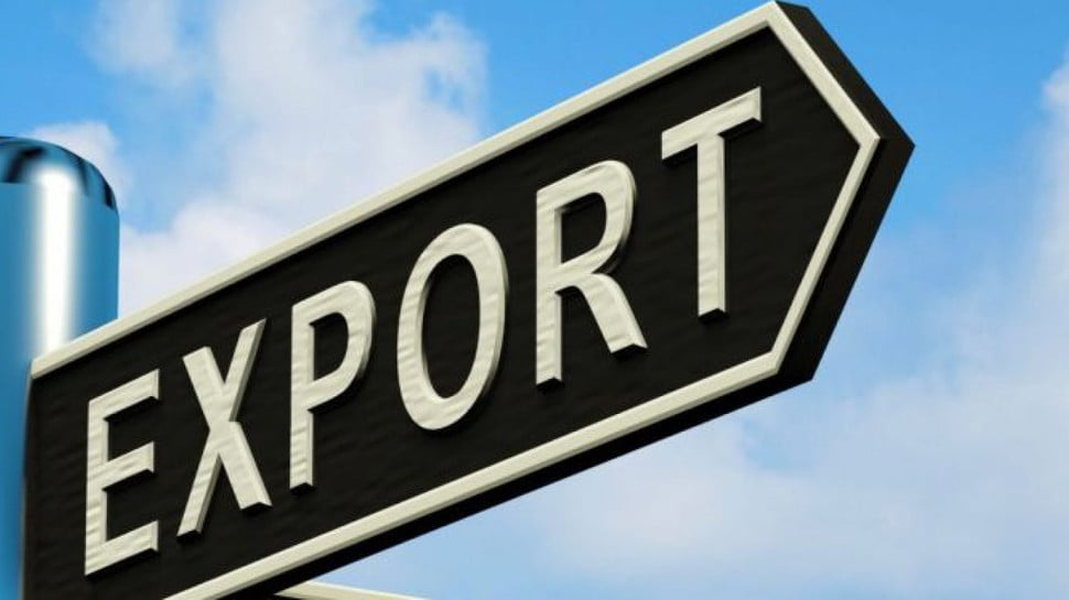 Maia Sandu nu îi va cere Federației Ruse să fie prelungit regimul preferențial pentru exportul mărfurilor moldovenești
