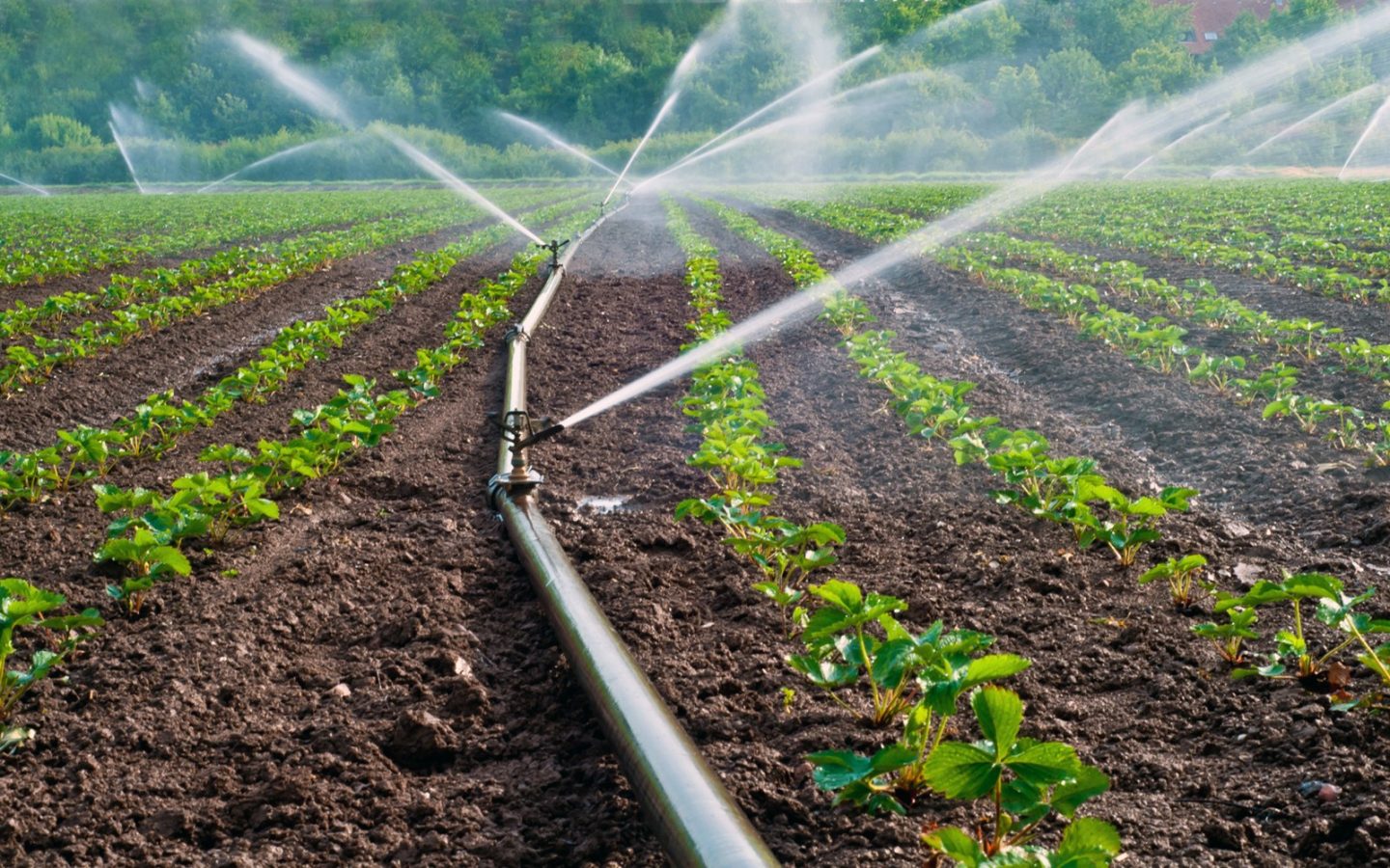 Executivul a aprobat Regulamentul cu privire la folosinţa apelor subterane pentru irigarea terenurilor agricole