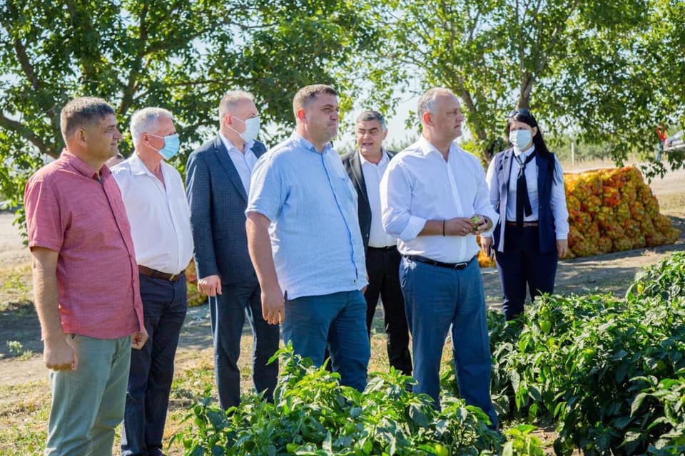 Igor Dodon a vizitat două gospodării agricole din raionul Telenești