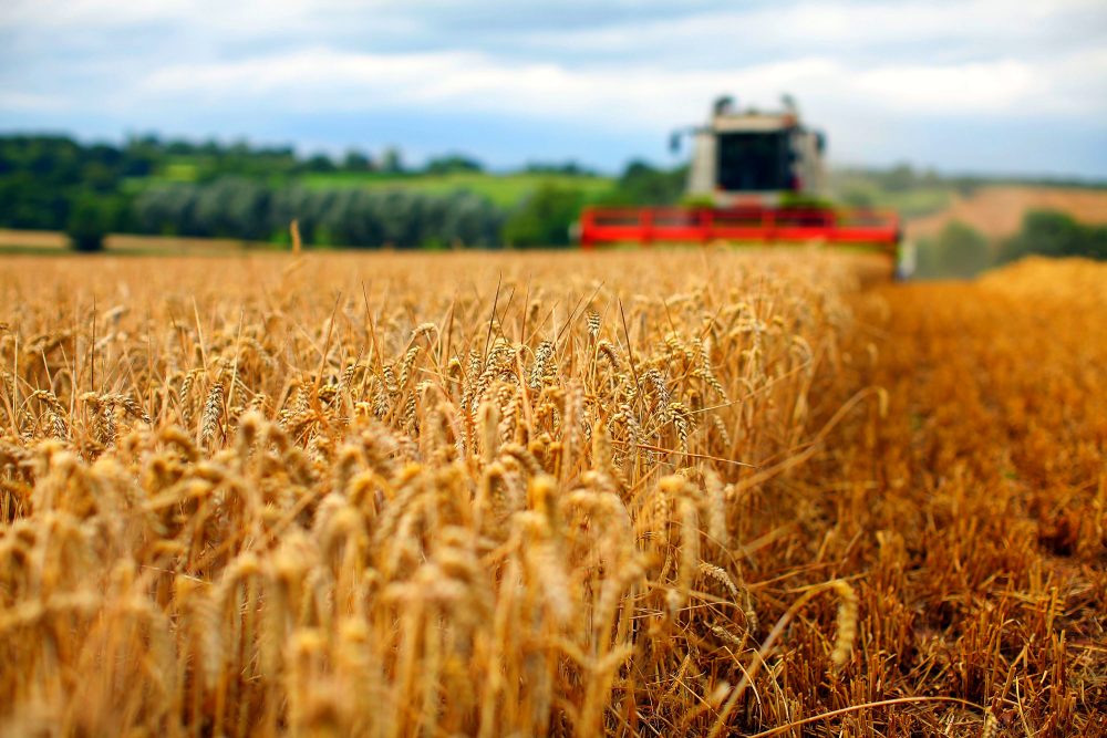 Ion Chicu: Statul va identifica bani pentru a acorda suport fermierilor care au suportat pierderi la suportate la roada cerealierelor din grupa a II-a