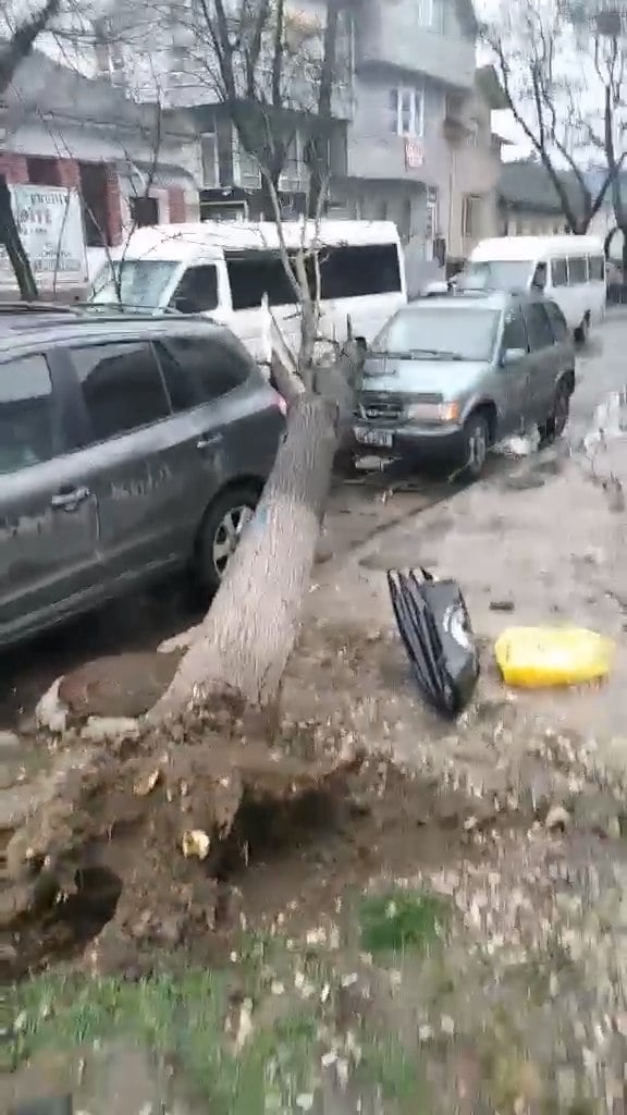 Reacția lui Ion Ceban, după ce un arbore a căzut peste mașini pe o stradă din capitală
